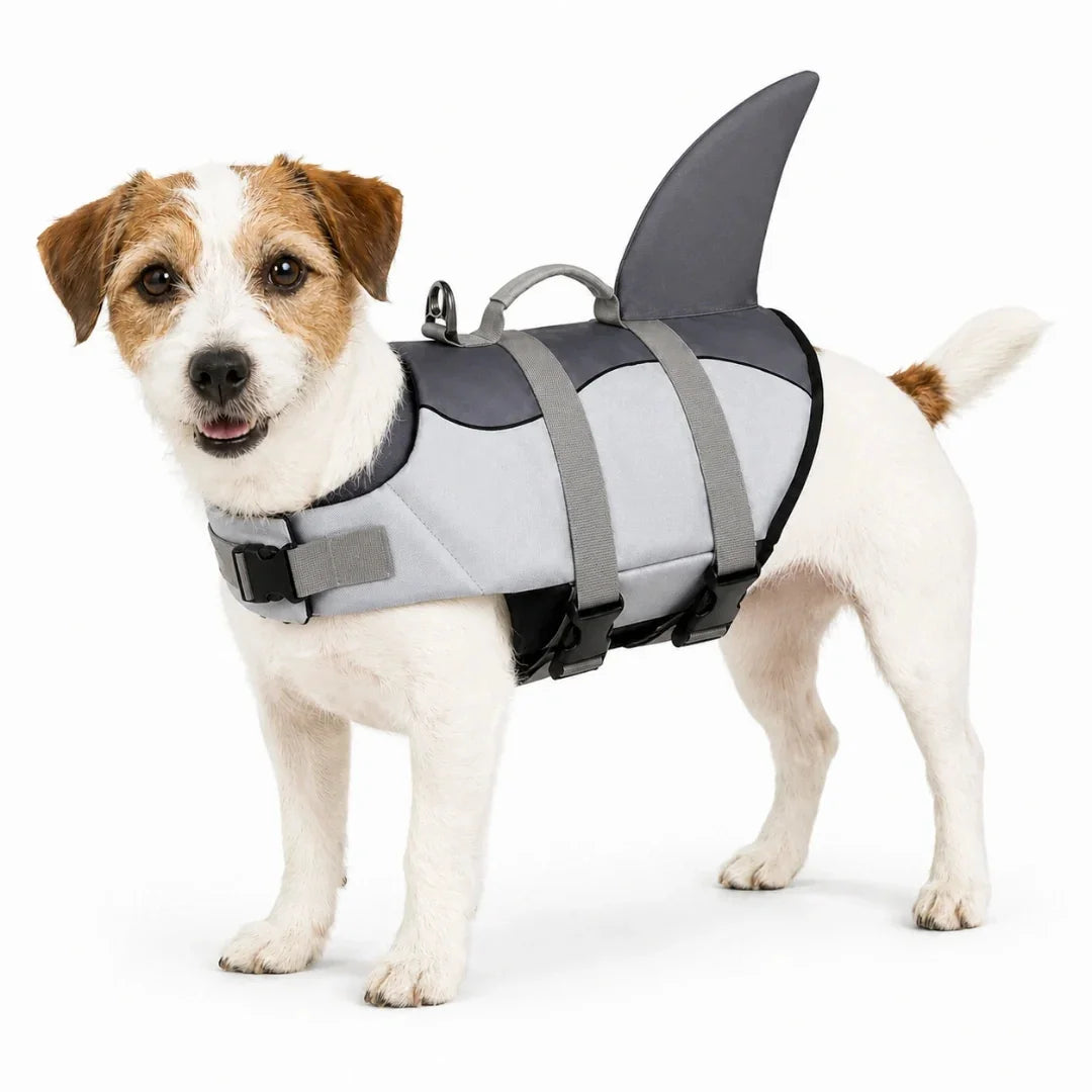 Jack Russell Terrier wearing the Petifo shark fin dog life jacket on a clean white background.