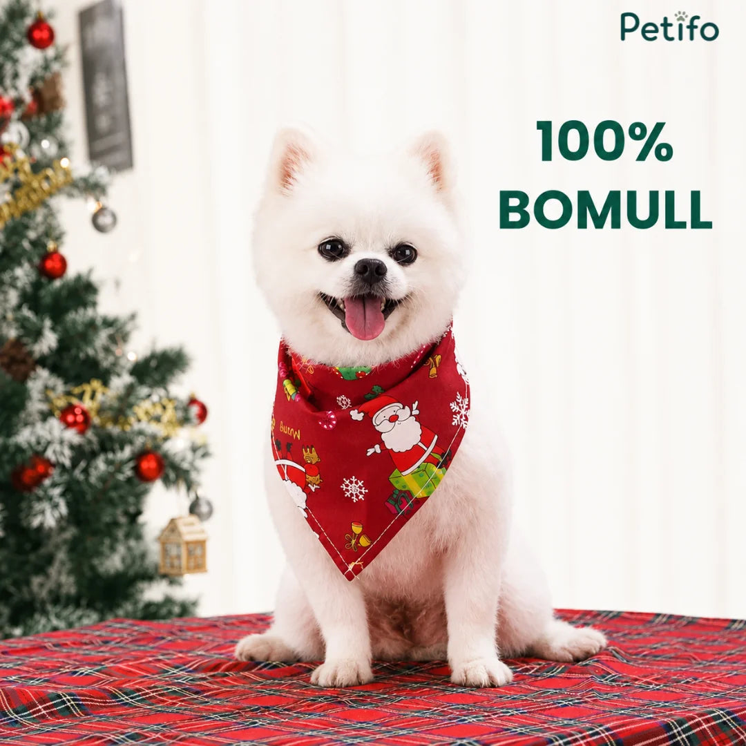 Cute white dog wearing a red Christmas pet bandana scarf.