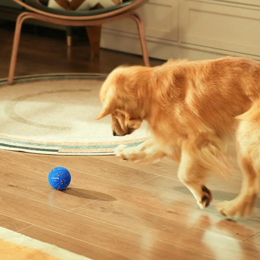 Golden retriever leker med en interaktiv hundleksak – en blå, självrörlig boll som stimulerar och aktiverar hunden inomhus. Perfekt för mental och fysisk träning.