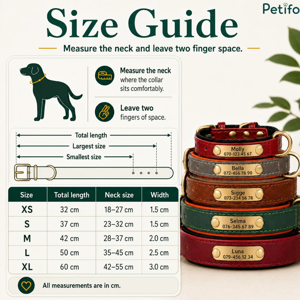 Detailed size guide infographic showing measurement instructions, a sizing table from XS to XL, and a stacked display of collars in different colors.
