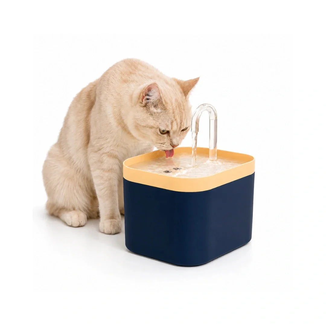 Yellow and blue Petifo automatic cat water fountain with a cat enjoying fresh water from the spout.