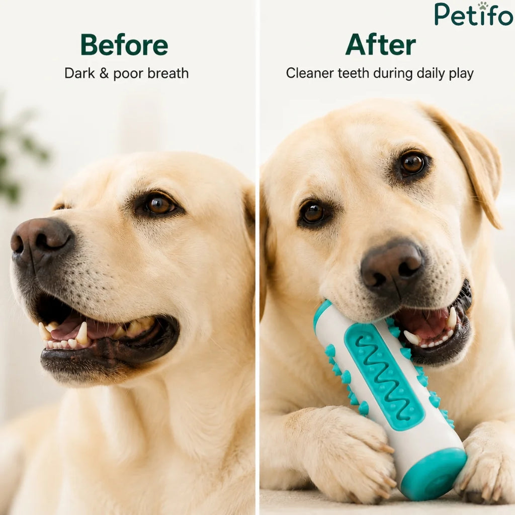 Comparison showing a dog's teeth before and after using the Petifo dog dental chew toy for cleaner teeth and fresher breath during daily play.
