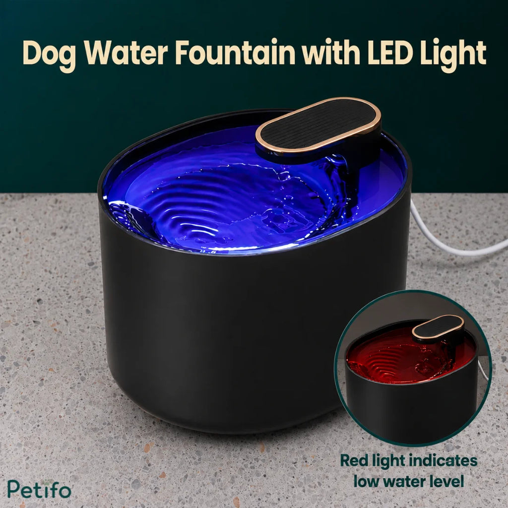 Petifo pet fountain showing blue LED night light mode and red low-water indicator alert