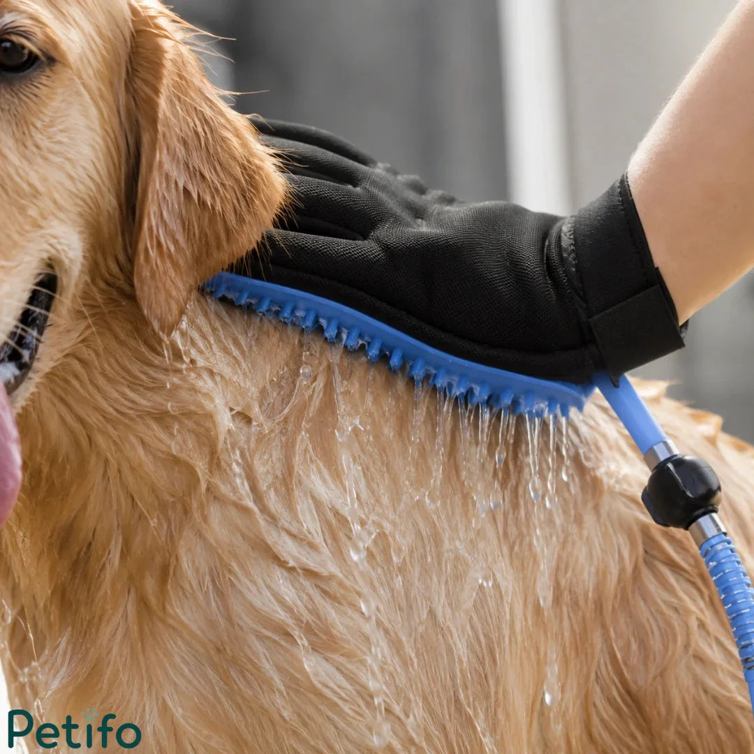 bathing a golden retriever with a blue grooming glove in a bathtub.
