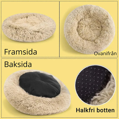 bild på olika sidor av hundbädden