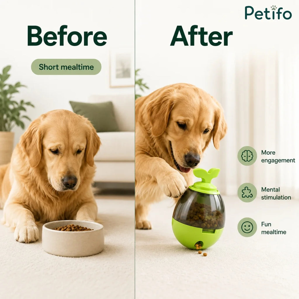 Side-by-side comparison showing dog eating from regular bowl versus playing with Petifo slow feeder toy