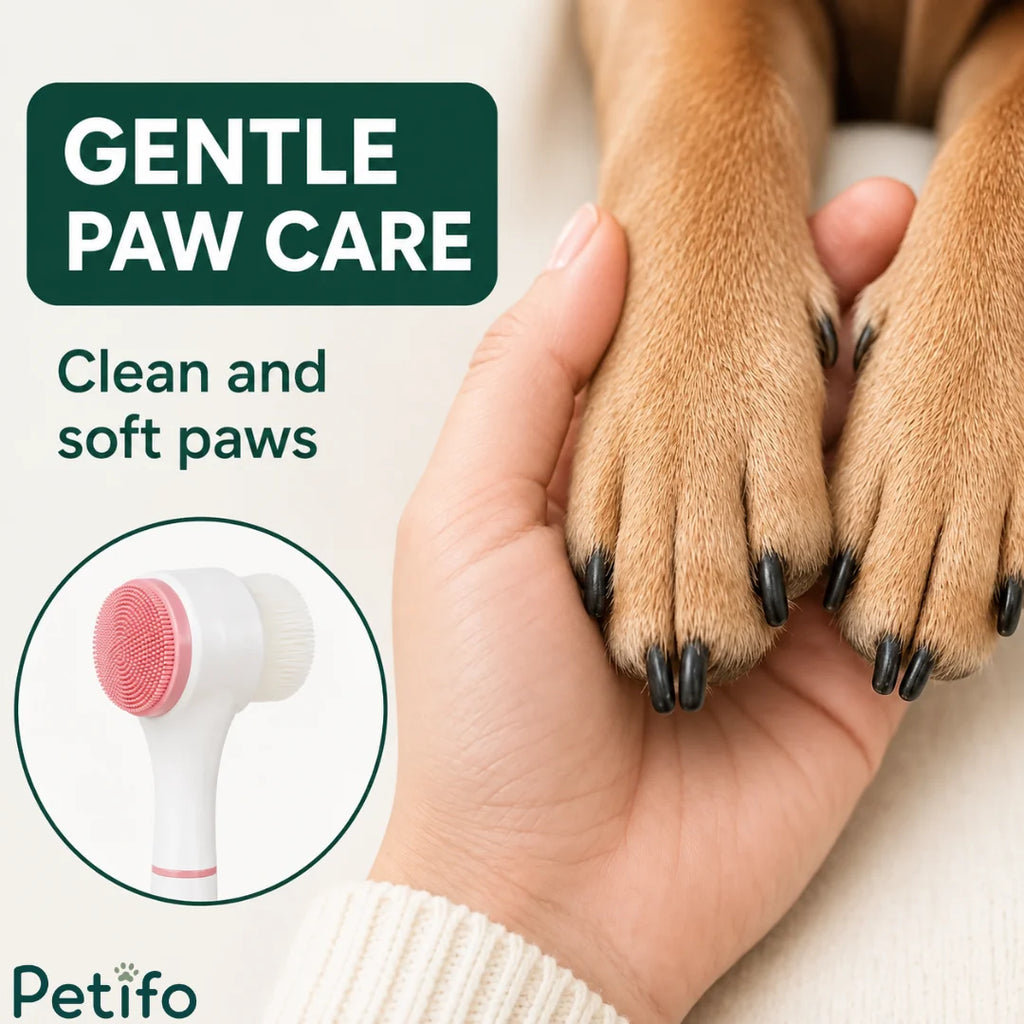 Gentle paw care concept image showing soft dog paws held in hands alongside the Petifo grooming brush.