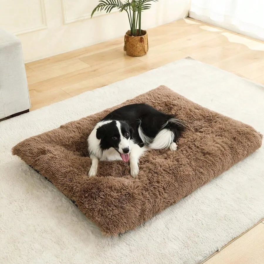 Fluffig Hundbädd, 
Hundbädd Tvättbar, CozyCloud Fluffig djurbädd - Djurslottet