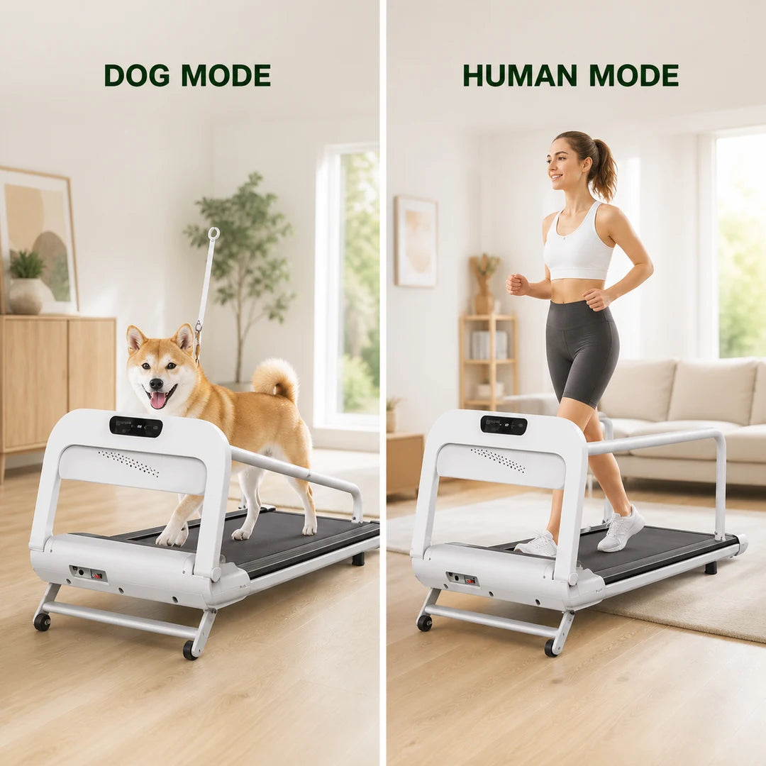 Two-in-one dog and human treadmill modes