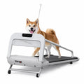 Foldable dog treadmill with a dog walking on the belt