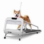 Foldable dog treadmill with a dog walking on the belt