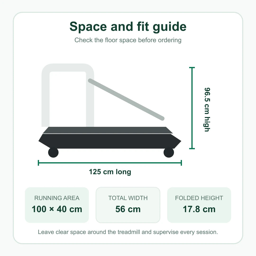 Dog treadmill dimensions and running surface size