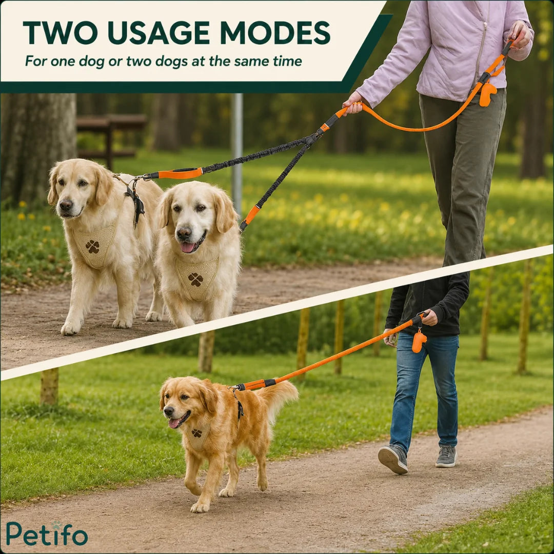 Demonstration showing the two usage modes of the dual-dog leash for walking either one or two dogs simultaneously.