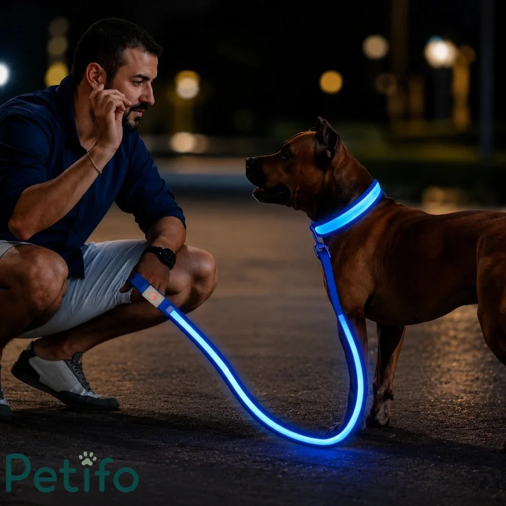 Man crouching beside dog wearing glowing blue LED collar and leash