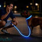 Man crouching beside dog wearing glowing blue LED collar and leash