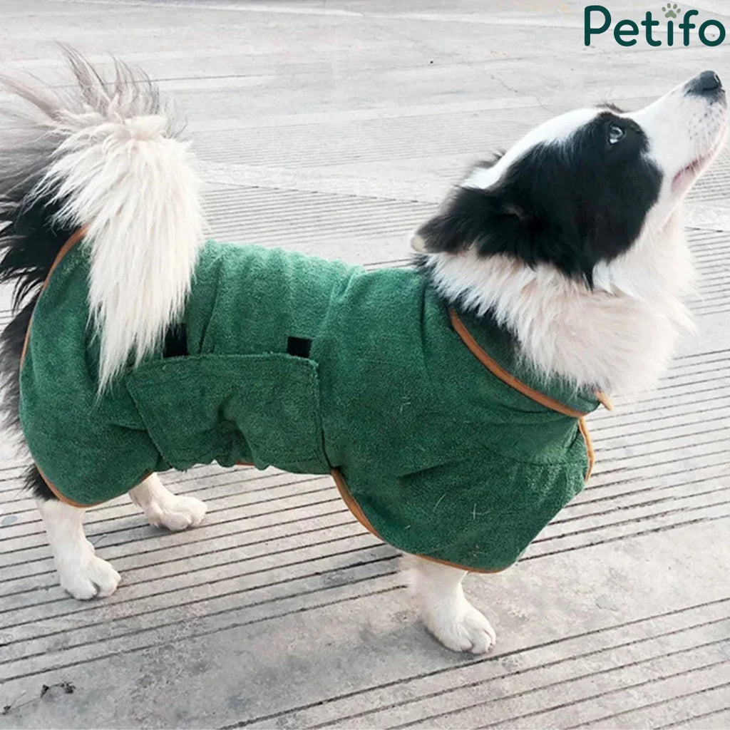 Border Collie wearing green microfibre dog drying robe with orange trim