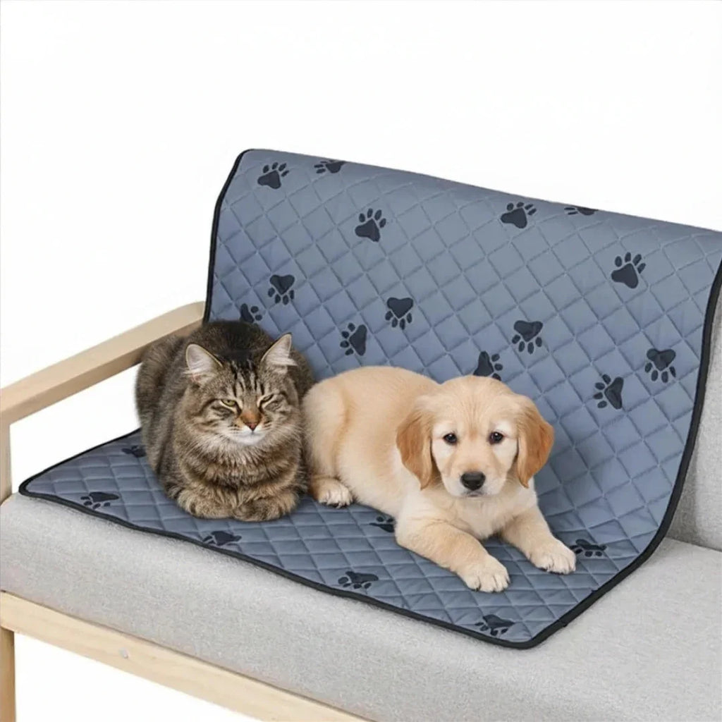 A cute puppy and tabby cat resting together on a grey quilted waterproof furniture protector mat.