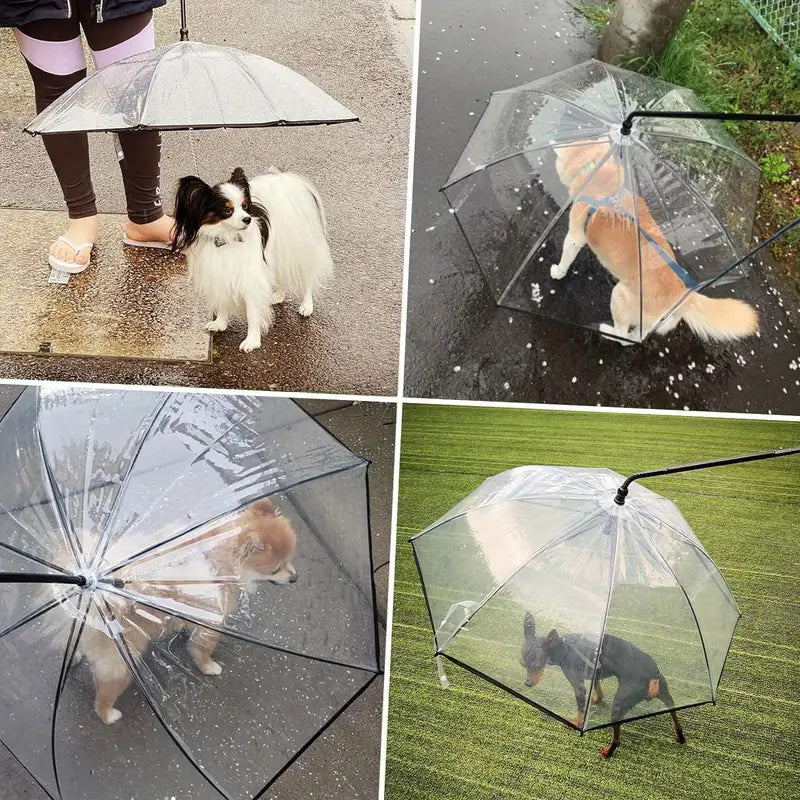RainPaw Dog Umbrella with Lead - Petifo