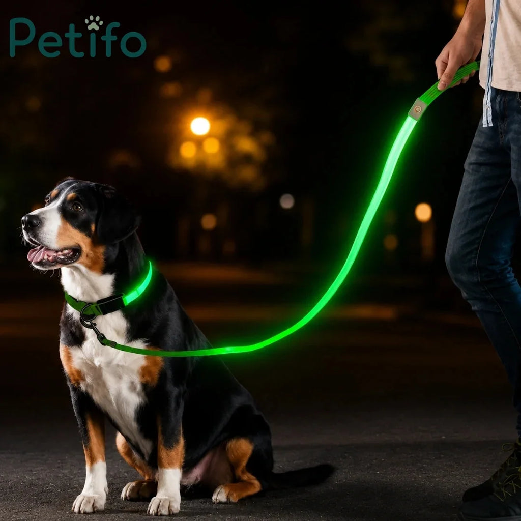 Dog walking at night with glowing green LED collar and leash