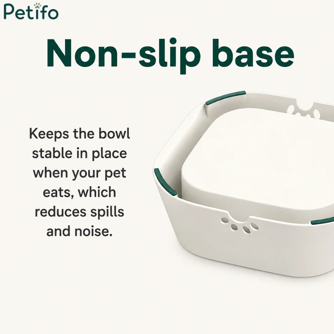 Underside of pet water bowl showing non-slip rubber base pads
