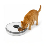 PawHut 6-Meal Pet Feeder with Cooling Pack