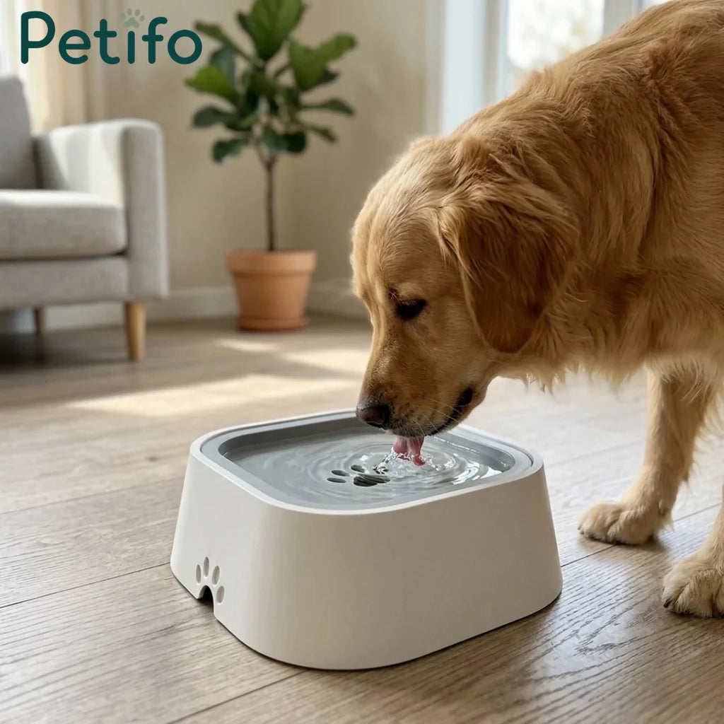 Jack Russell Terrier drinking water from grey anti-spill pet bowl