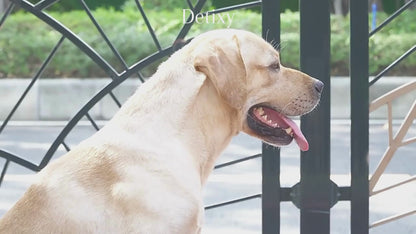 Detixy Regntäcke