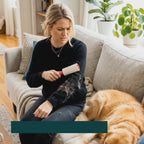 Grooming a dog's coat with the one-click self-cleaning brush – Petifo