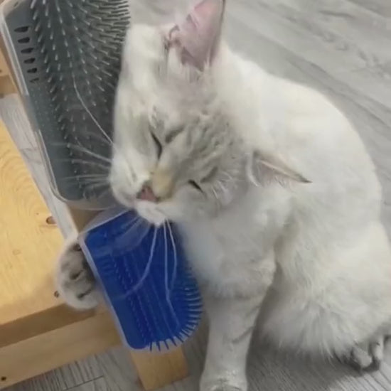 Kattborste Hörn, 
Katt Borste, Katt hörn-massageborste - Djurslottet