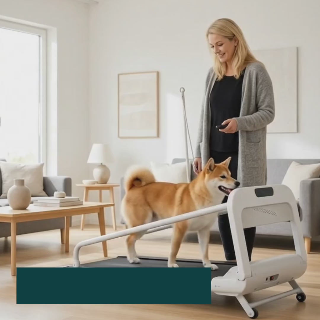 Foldable 2-in-1 treadmill in use by a dog — Petifo