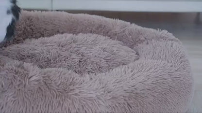 Comfydonut