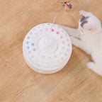 Cat chasing the spinning butterfly on the Felineo 3-in-1 toy – Petifo