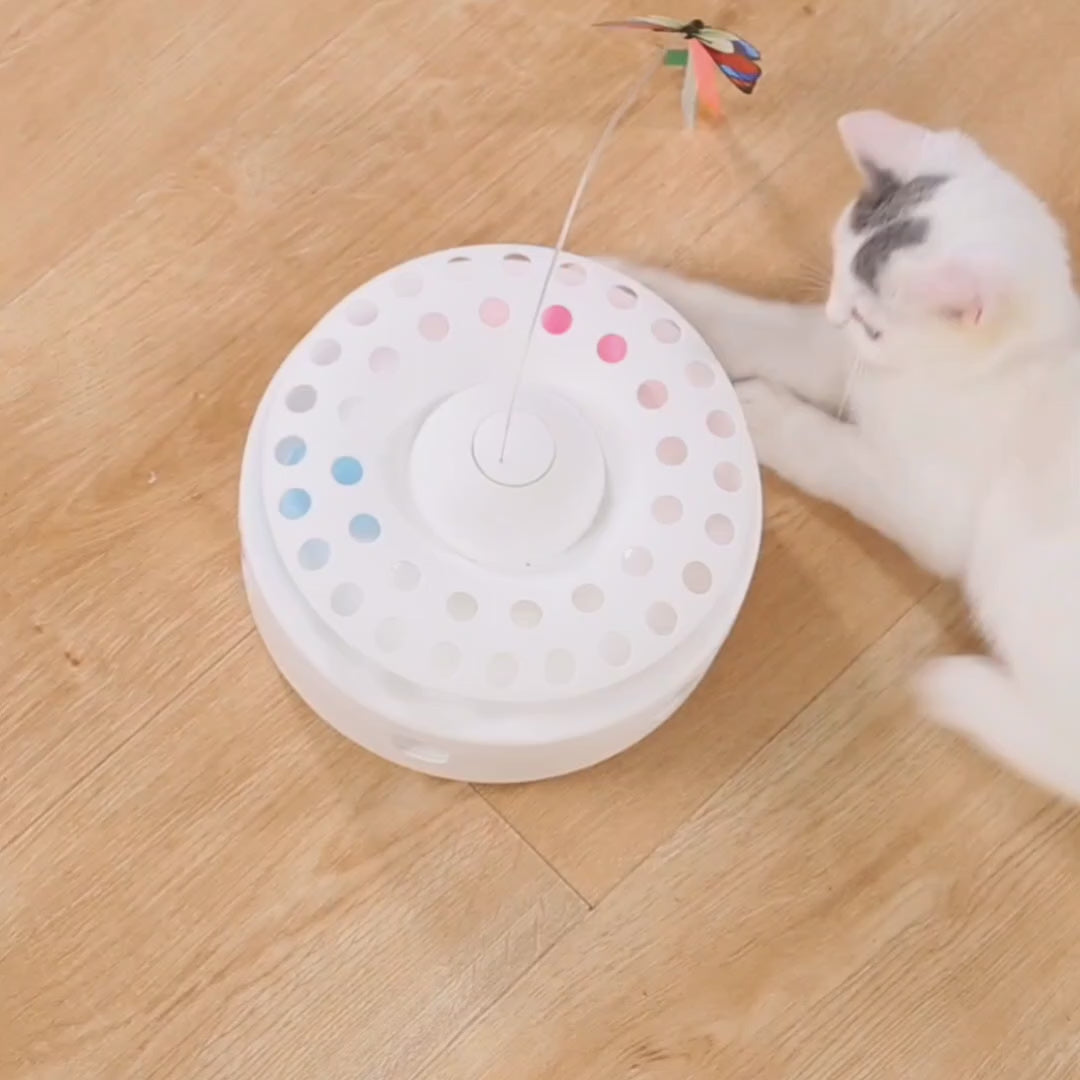 Cat chasing the spinning butterfly on the Felineo 3-in-1 toy – Petifo