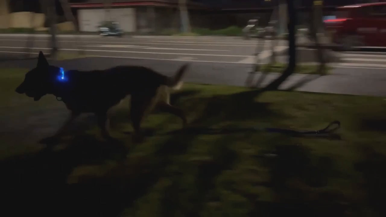 Airtag Halsband Katt,
Airtag Hundhalsband, Lysande Airtag halsband För hundar- Djurslottet