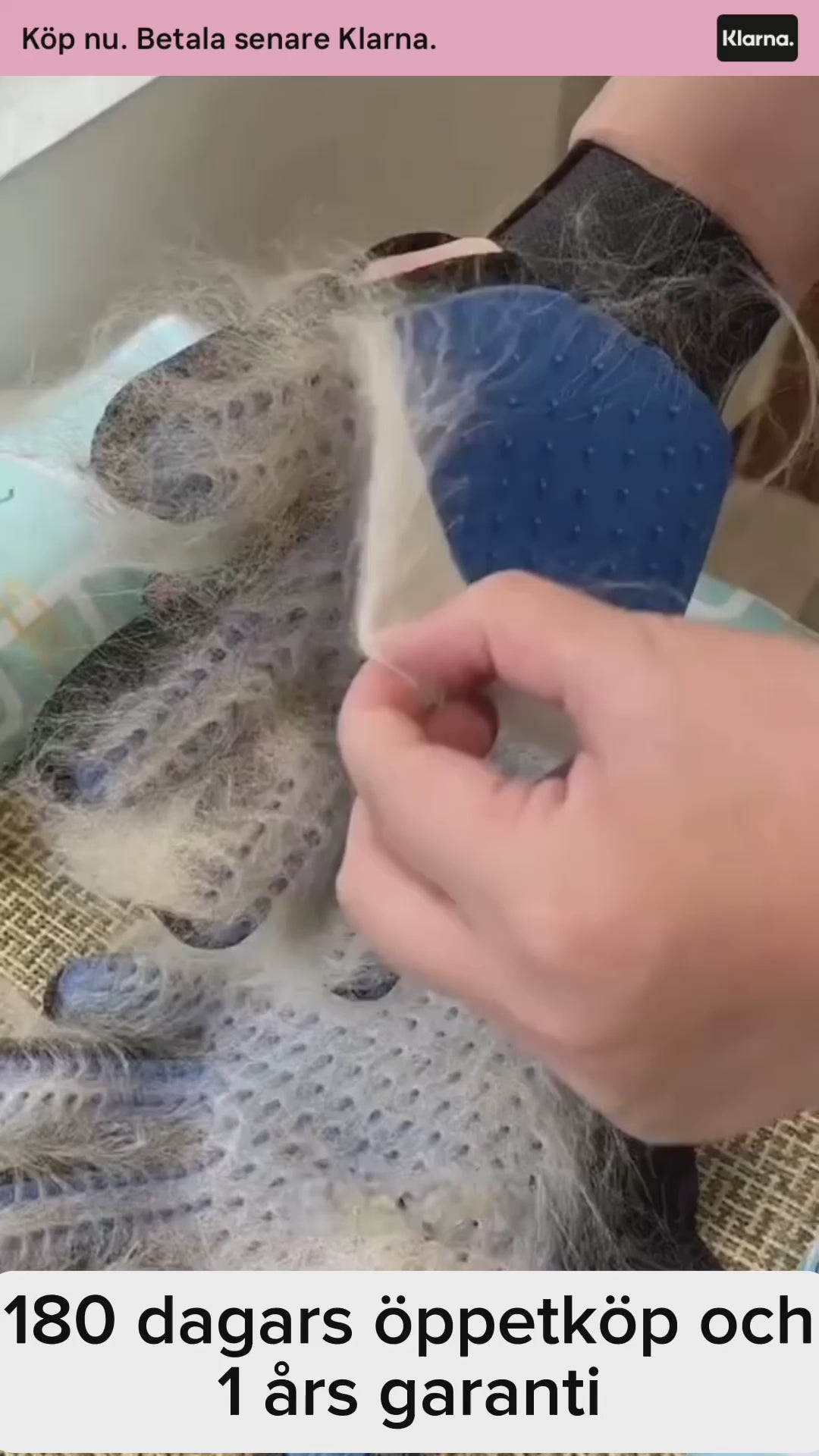 Grooming Handske, 
Borsta Katt Handske, Pälshandske - Djurslottet