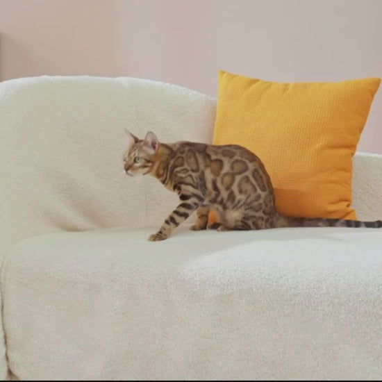Värmedyna Katt, 
Elektrisk Värmedyna Katt, Självuppvärmande Värmedyna