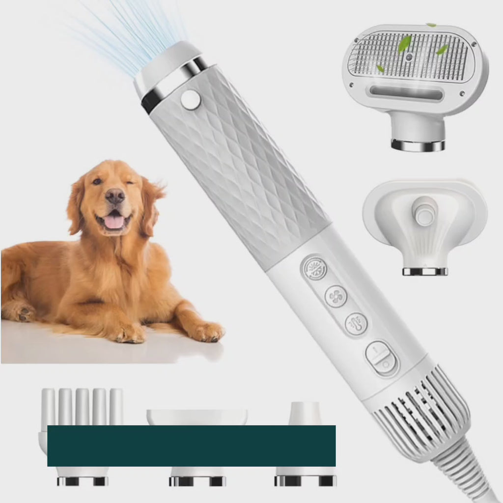 Petdryer Gloss coat dryer shown drying a pet's coat – Petifo