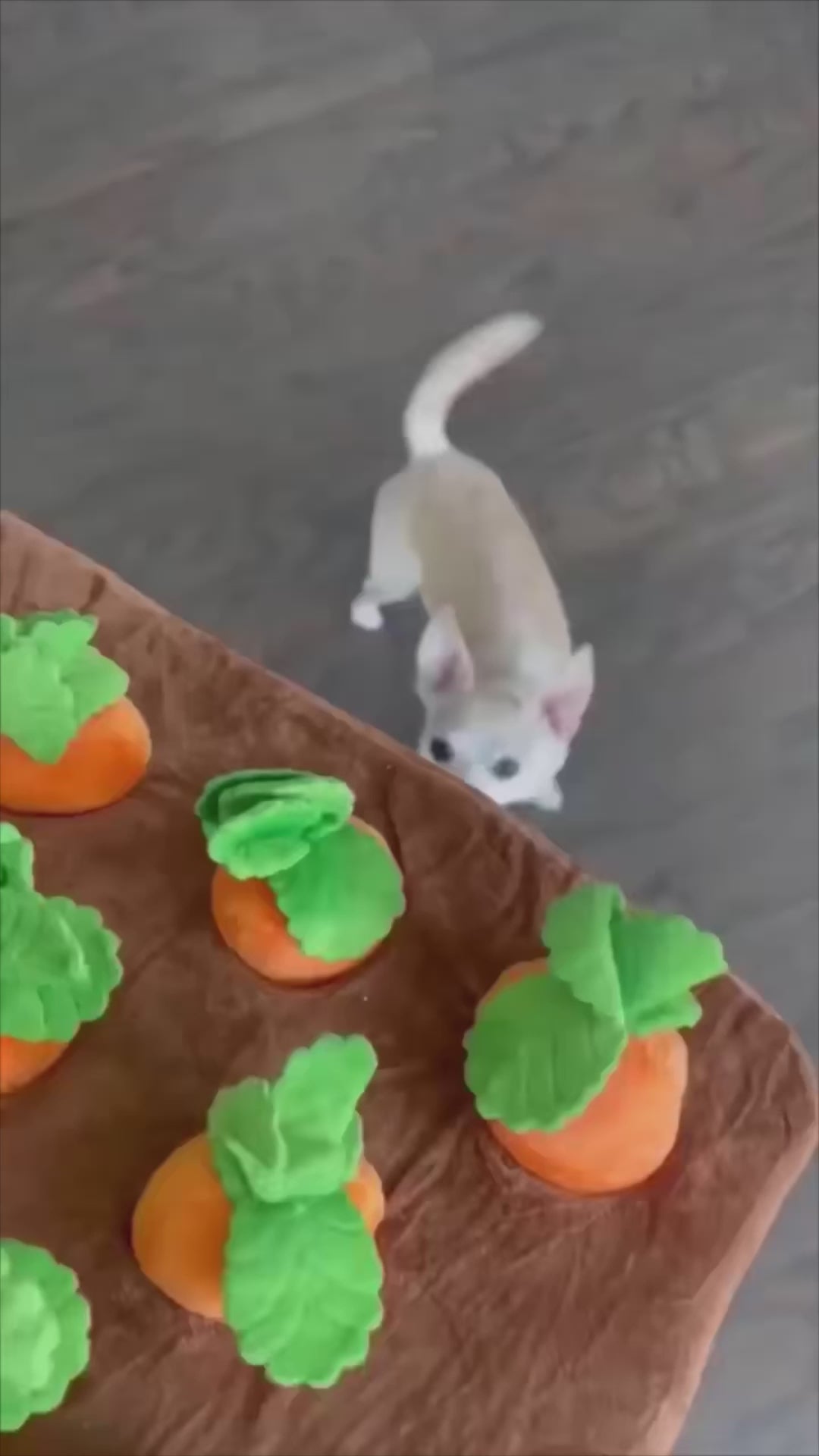 Snuffelmatta morot - Aktiveringsmatta för hundar