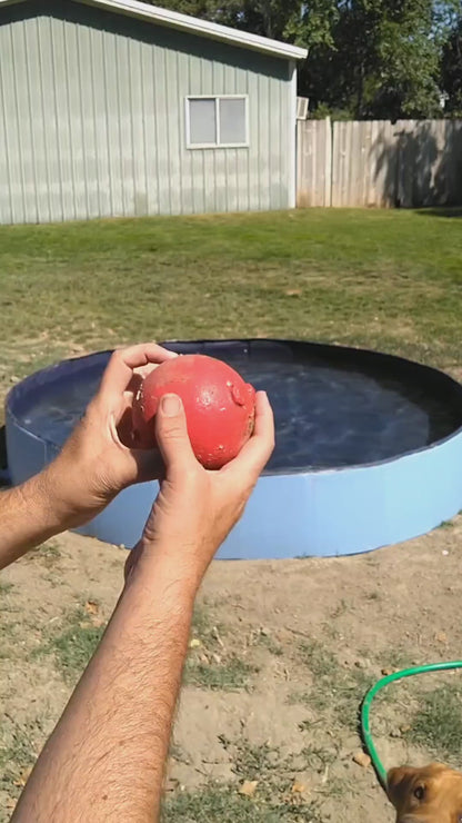 DoggyDip Hundpool