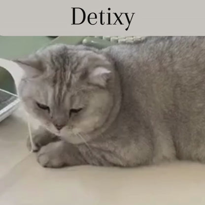 Detixy ångborste