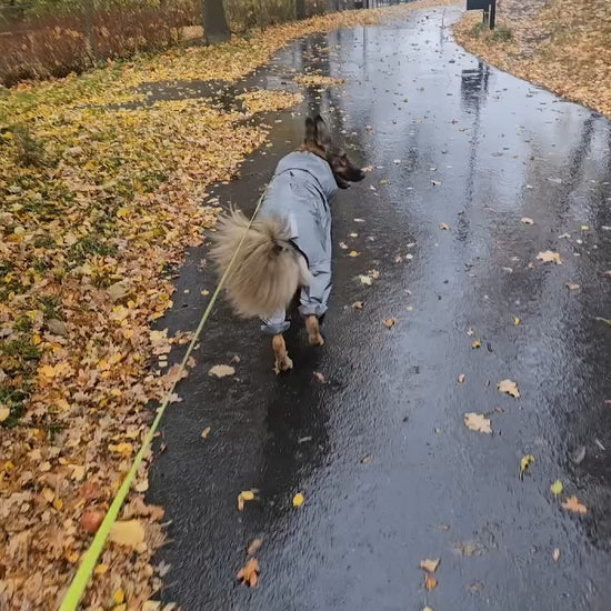 Regnjacka Till Hund, 
Regnjacka Hundar, Reflekterande Regntäcke till Hundar