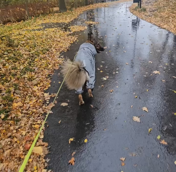 Regnjacka Till Hund, 
Regnjacka Hundar, Reflekterande Regntäcke till Hundar