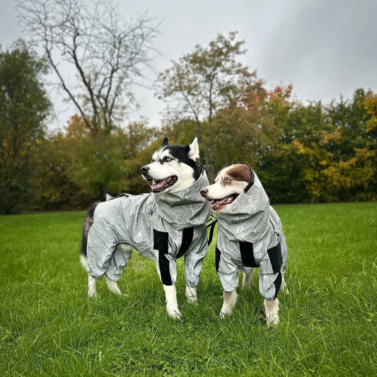 Regnjacka Till Hund, 
Regnjacka Hundar, Reflekterande Regntäcke till Hundar