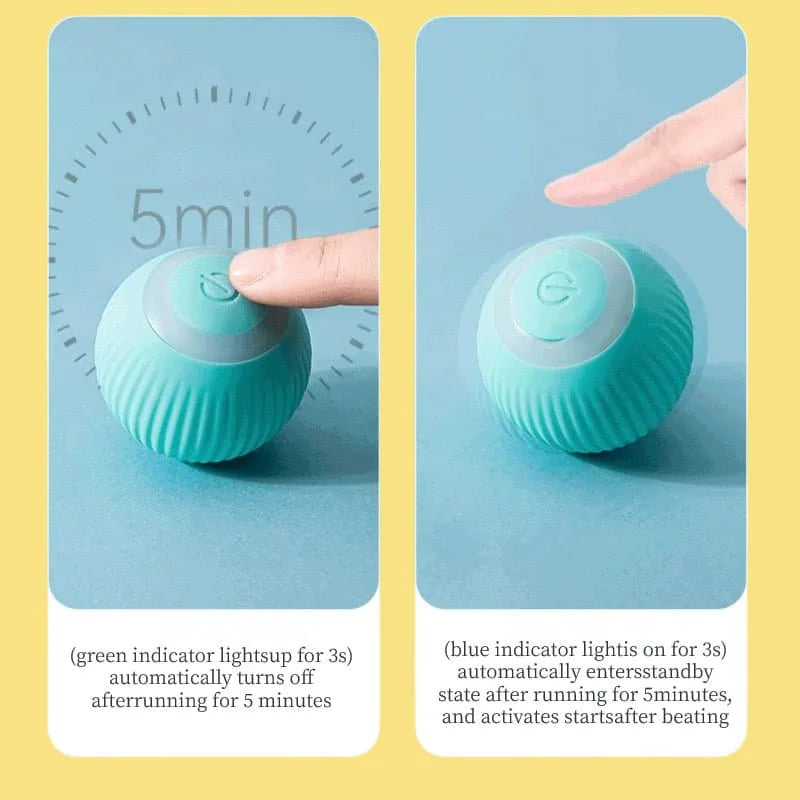 Kattleksak Boll, 
Kattleksak Boll Som Rör Sig, Rolling boll - Djurslottet