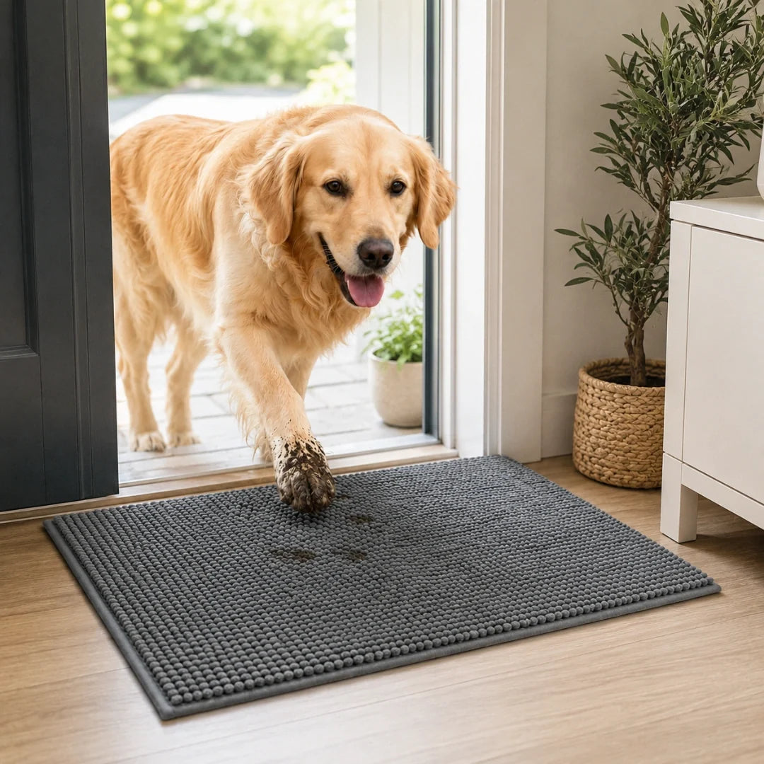 Dog on absorbent paw mat at home – Petifo