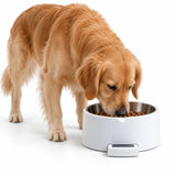 UpFeed Pro Pet Bowl with Scale