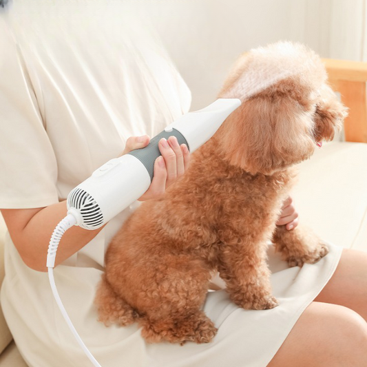 Bästa Hundfönen, 
Hundfönar Till Hund, PetDryer Pälsfön - Djurslottet