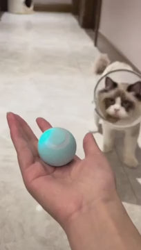Kattleksak Boll, 
Kattleksak Boll Som Rör Sig, Rolling boll - Djurslottet