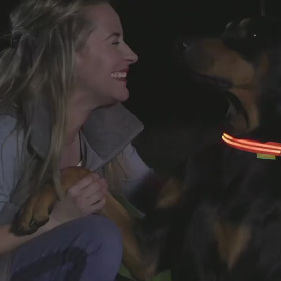 Lysande Halsband Till Hund, 
Lysande Hundkoppel, Ljushalsband - djurslottet
