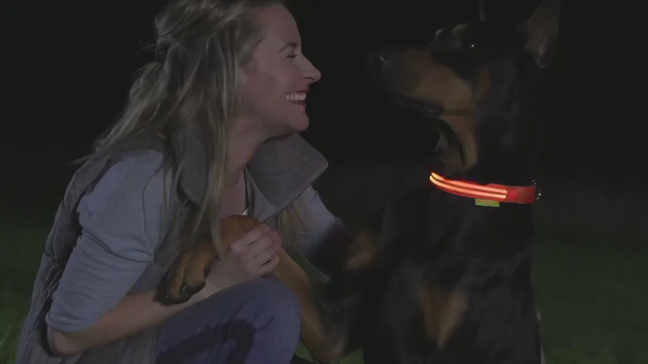 Lysande Halsband Till Hund, 
Lysande Hundkoppel, Ljushalsband - djurslottet